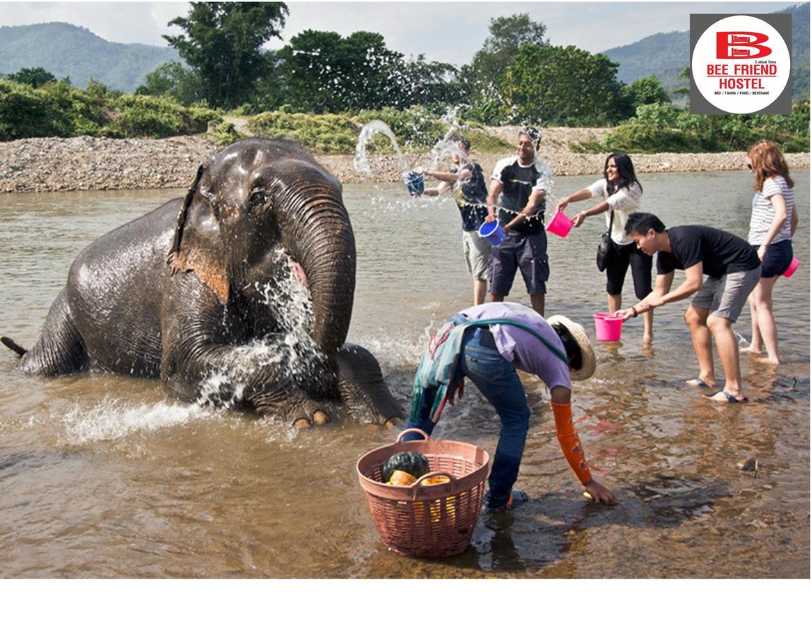 Bee Friend Hostel Chiang Mai Ngoại thất bức ảnh